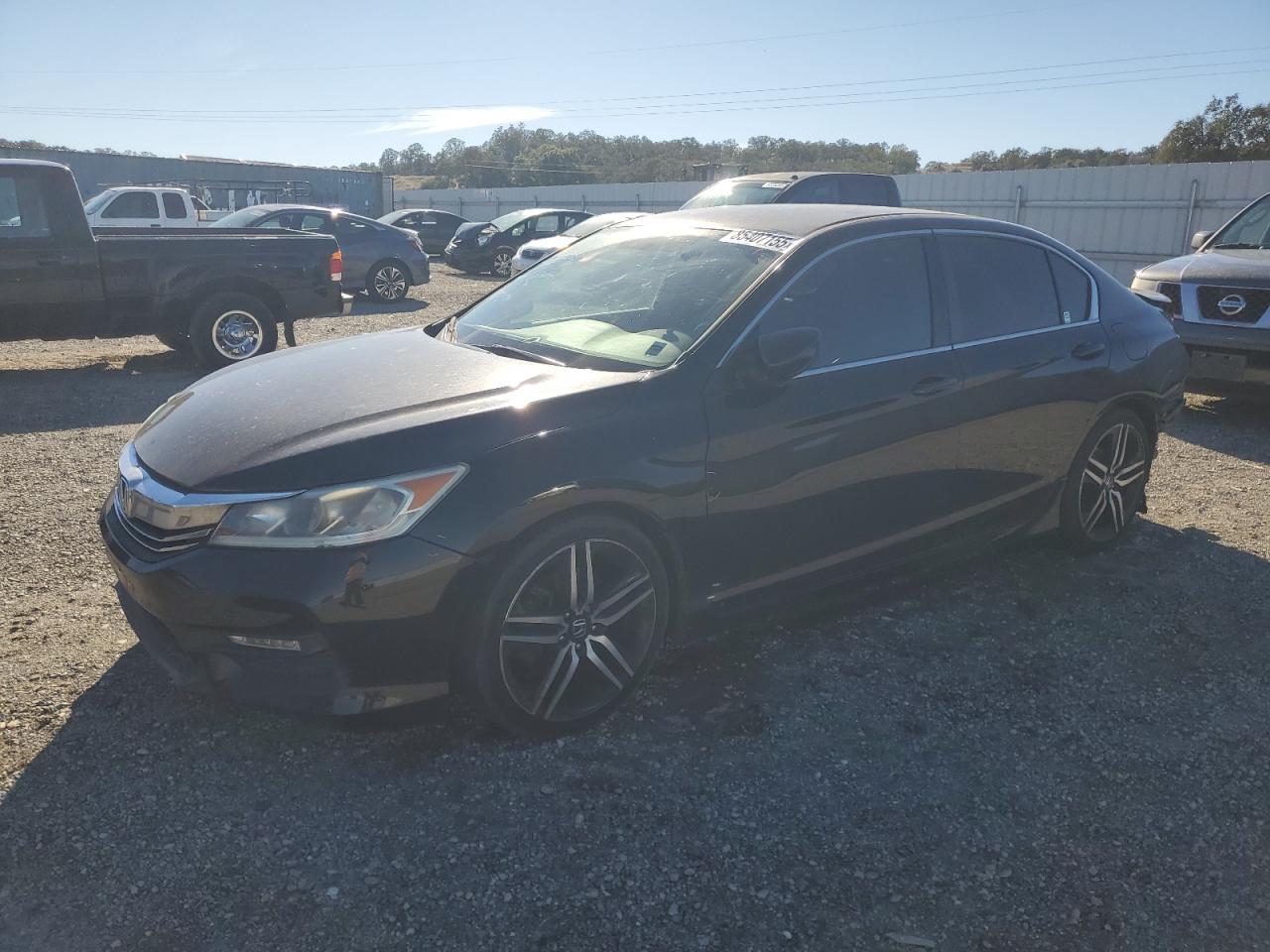 HONDA ACCORD SPORT
