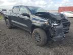 Lot #3311587783 2025 CHEVROLET COLORADO