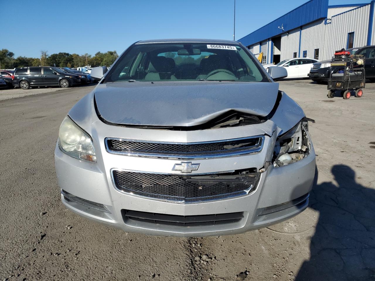 CHEVROLET MALIBU 1LT