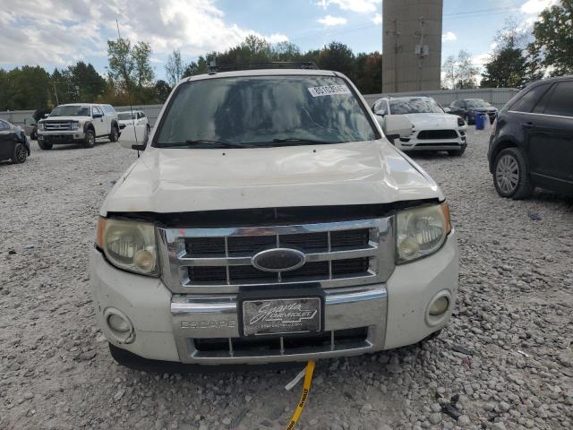 2010 FORD ESCAPE LIM - 1FMCU9EG6AKC62196