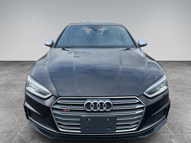 2019 AUDI S5 PREMIUM - WAUB4CF57KA000718
