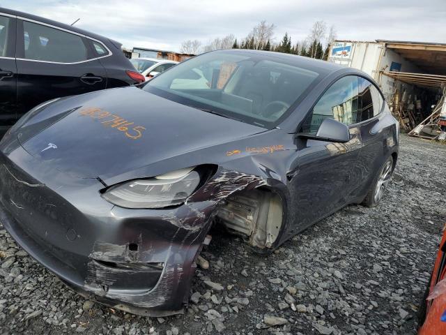 Global Auto Auctions: 2023 TESLA MODEL Y