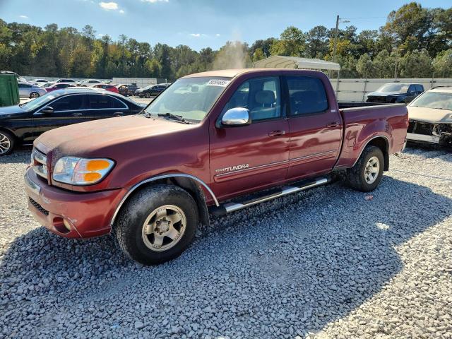 Global Auto Auctions: 2004 TOYOTA TUNDRA DOU