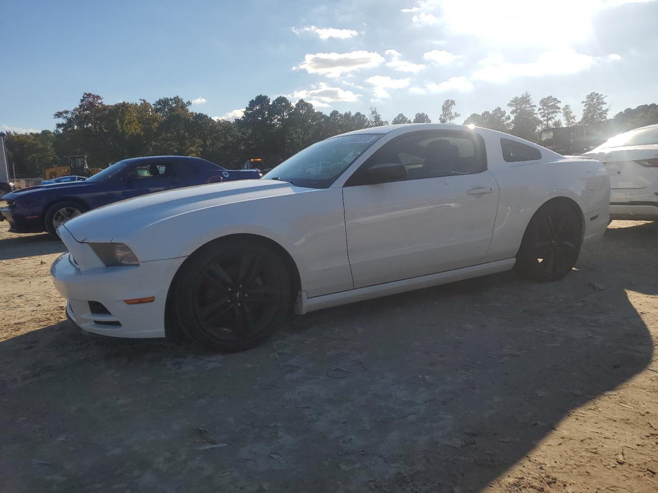 Lot #3301834348 2013 FORD MUSTANG