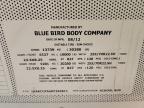 Lot #3304658920 2013 BLUE BIRD SCHOOL BUS