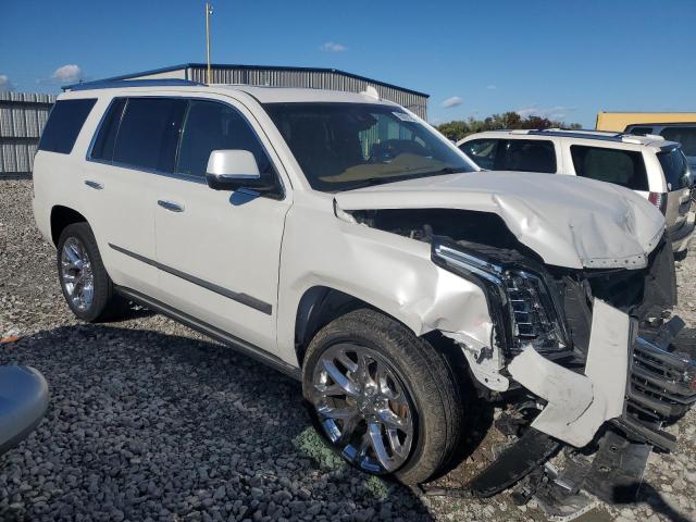 2017 CADILLAC ESCALADE P - 1GYS4DKJ5HR332818