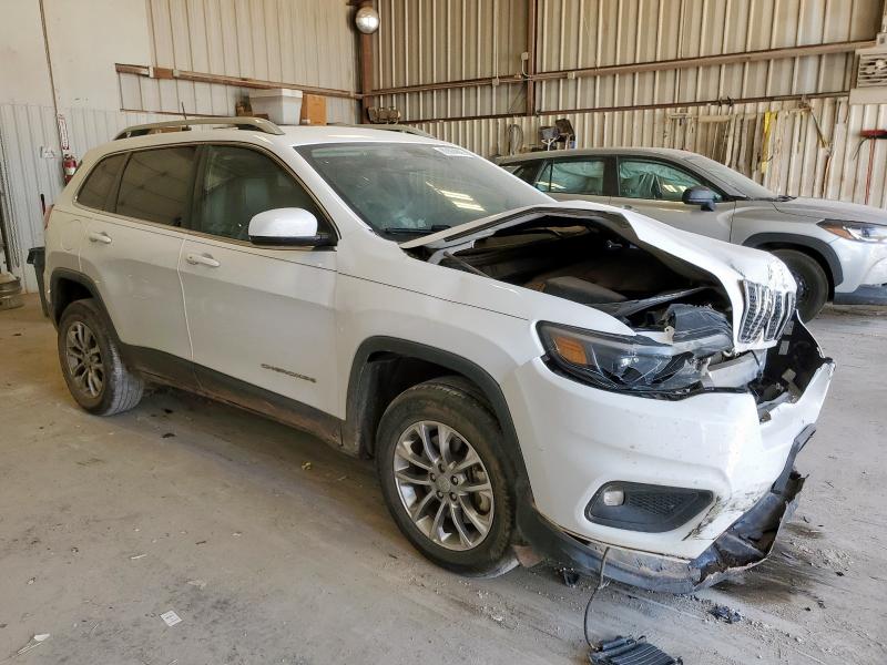 2019 JEEP CHEROKEE L 1C4PJMLXXKD365163