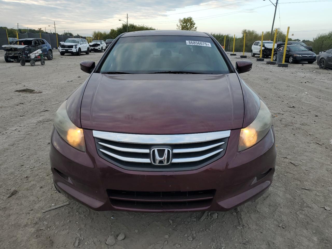 HONDA ACCORD EXL