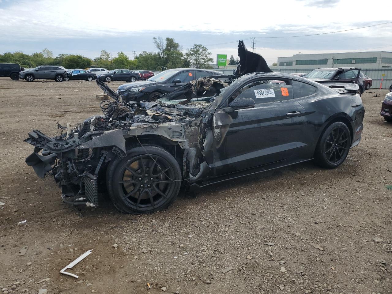 FORD MUSTANG SHELBY GT350