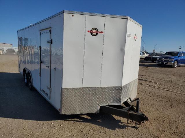 Global Auto Auctions: 2019 CARRY ON UNKNOWN