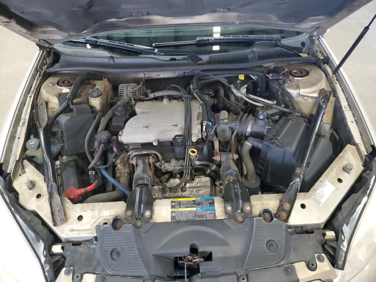 Lot #3269881166 2009 CHEVROLET IMPALA 1LT