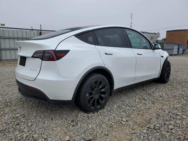 2023 TESLA MODEL Y #3311762308