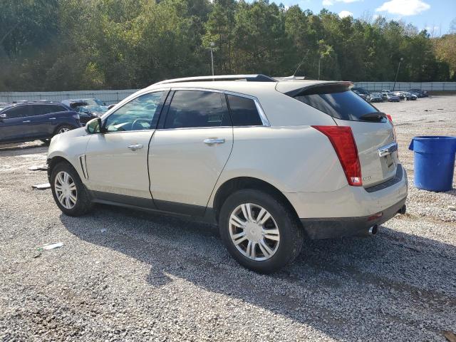 2013 CADILLAC SRX LUXURY - 3GYFNCE34DS539620