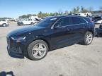 Lot #3293437409 2020 AUDI Q8 PREMIUM