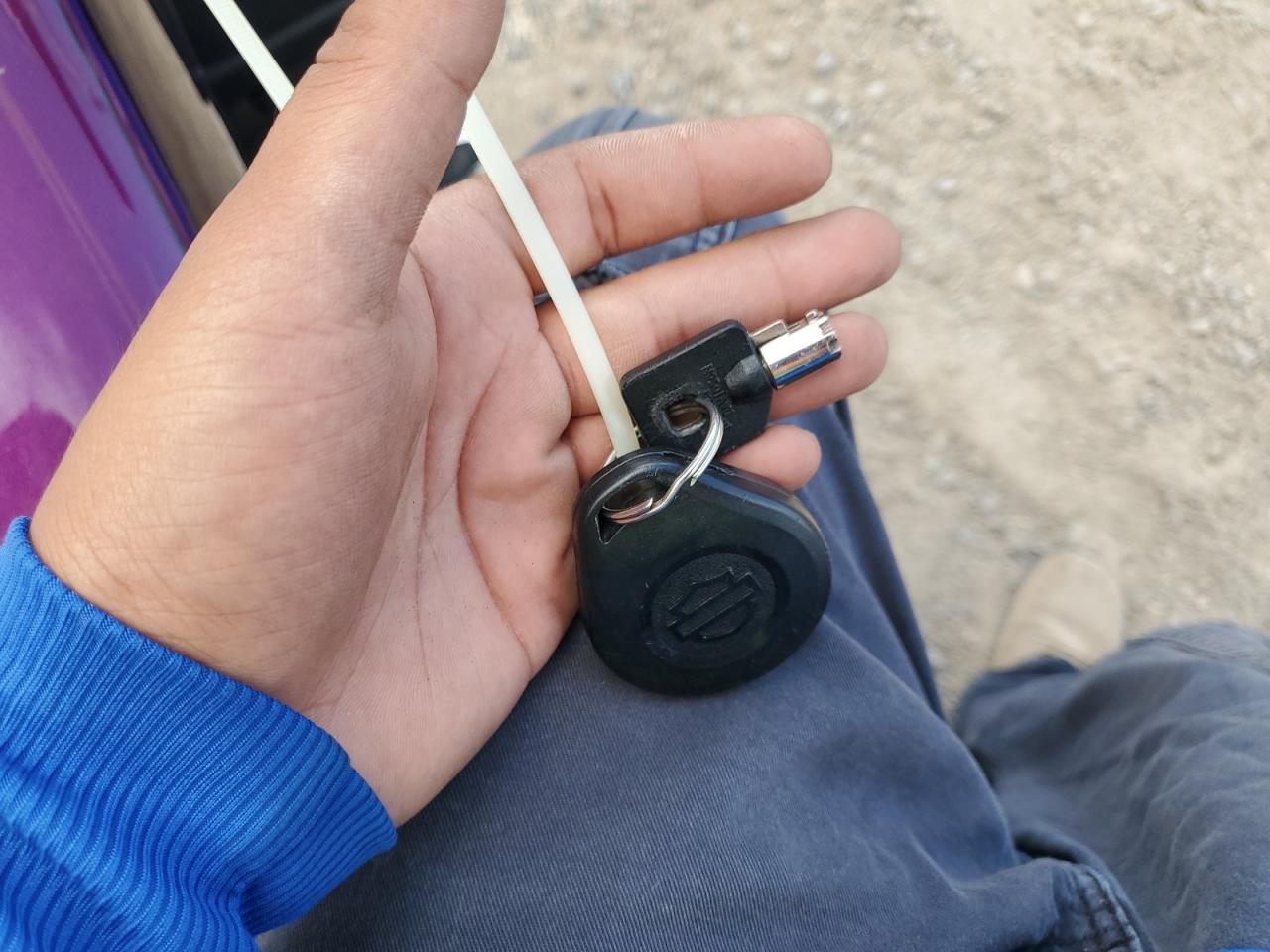 Lot #3261852207 2016 HARLEY-DAVIDSON FLHTCUTG T