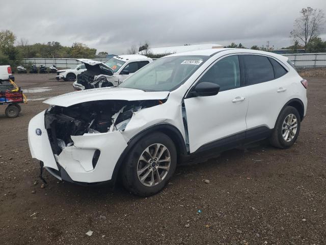 Global Auto Auctions: 2022 FORD ESCAPE SE