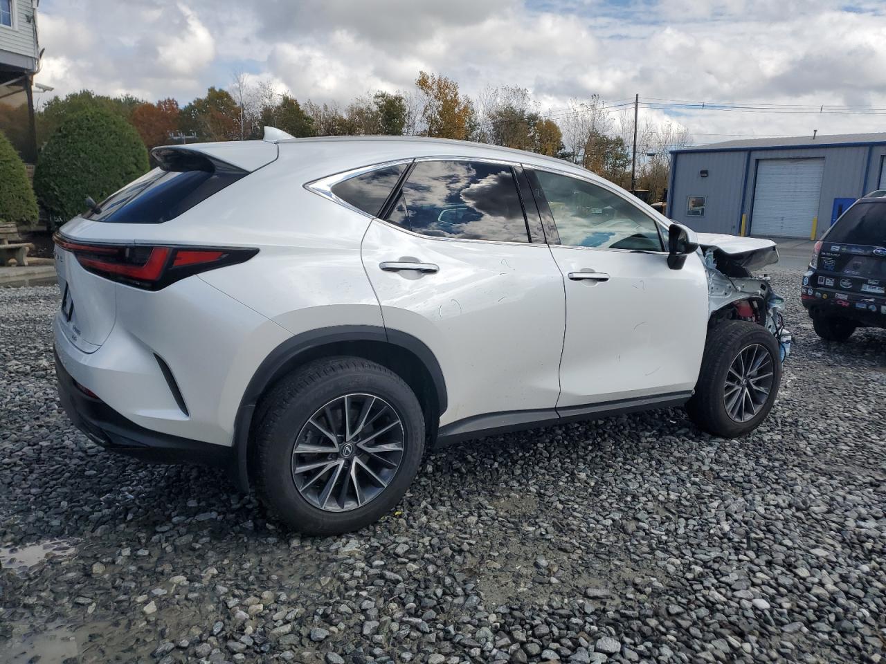 Lot #3291350146 2024 LEXUS NX 350 BAS