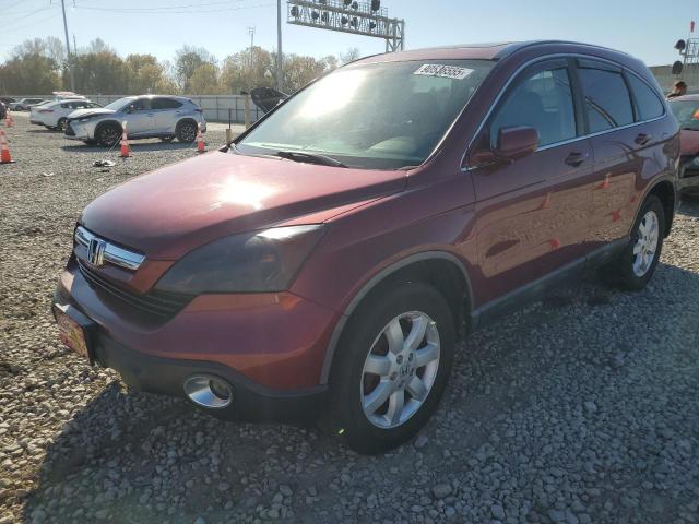 Global Auto Auctions: 2009 HONDA CR-V EXL