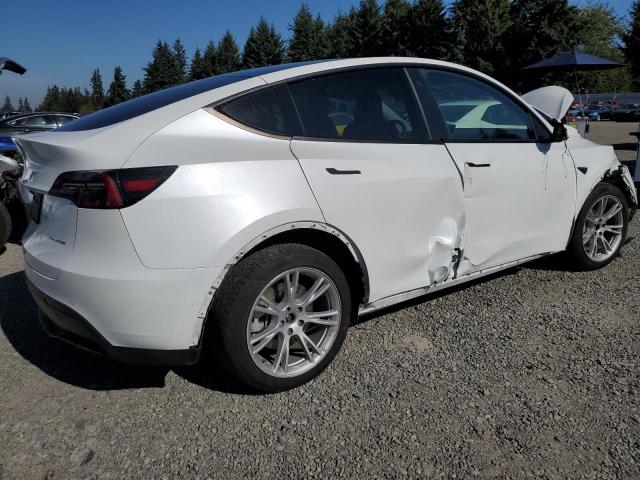 2021 TESLA MODEL Y #3291201990