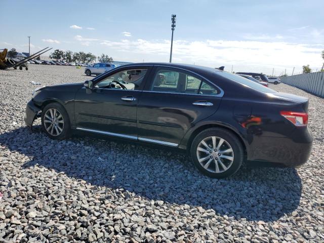 2010 LEXUS ES 350 #3302879915