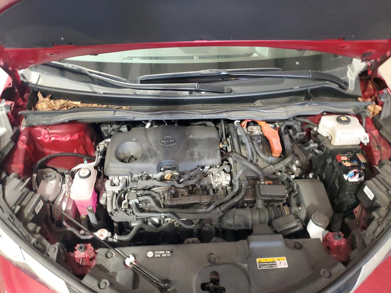 TOYOTA SIENNA LIMITED