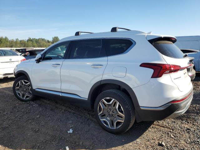 2022 HYUNDAI SANTA FE L KM8S7DA22NU045609