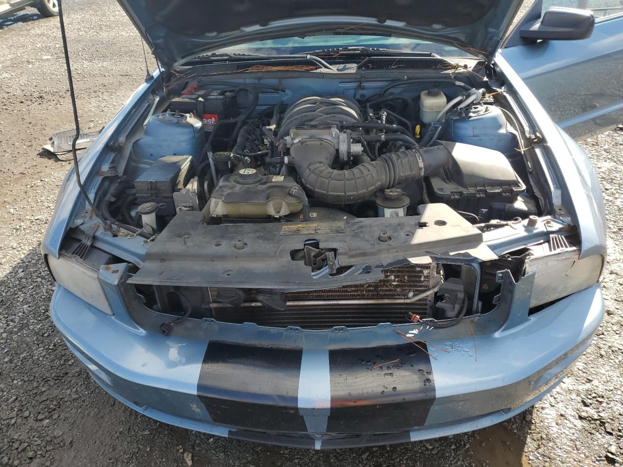 Lot #3290315964 2007 FORD MUSTANG GT