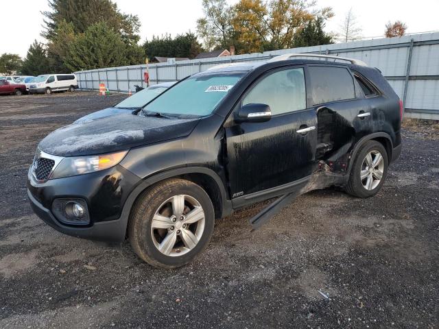 Global Auto Auctions: 2013 KIA SORENTO EX