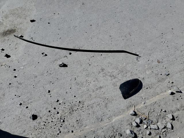 2019 KIA FORTE FE - 3KPF24AD6KE106962