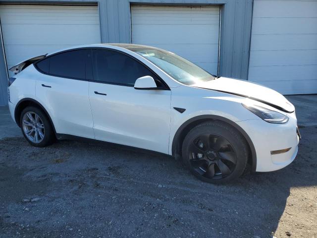 2023 TESLA MODEL Y - LRWYGDEE0PC081002