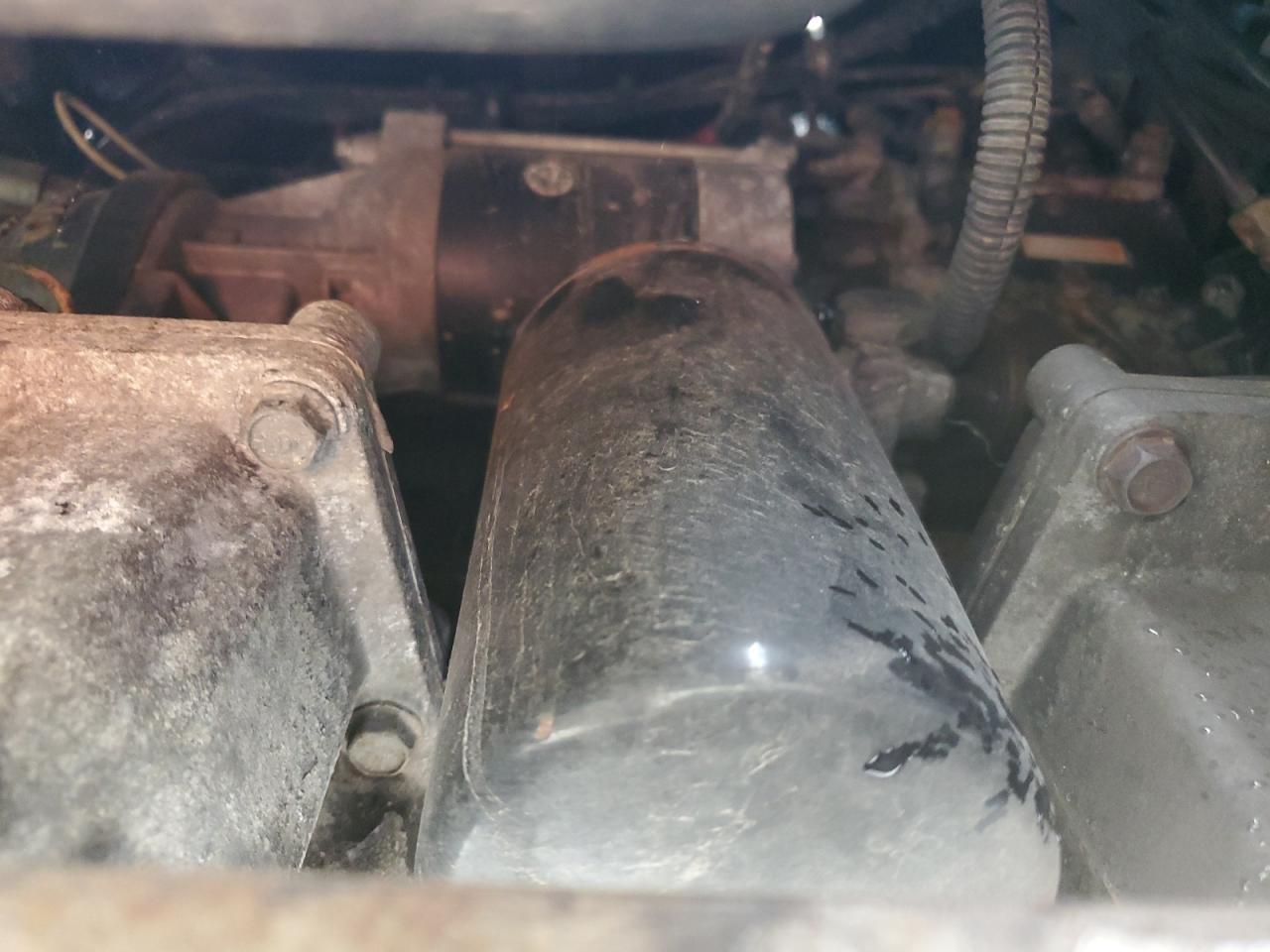 Lot #3275431794 2023 GREAT DANE REEFER