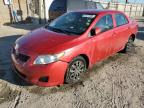Lot #3304815541 2010 TOYOTA COROLLA BA
