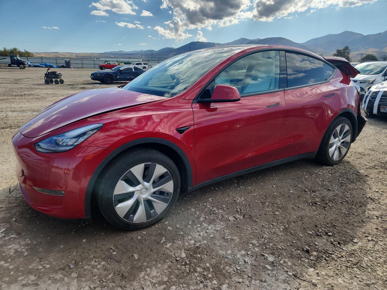 Lot #3264975172 2020 TESLA MODEL Y