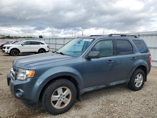 Global Auto Auctions: 2010 FORD ESCAPE XLT