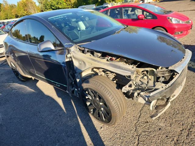 2022 TESLA MODEL Y #3284574348