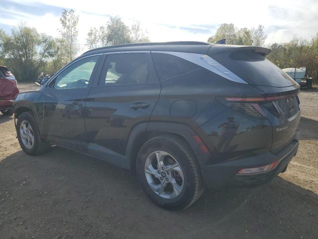 2022 HYUNDAI TUCSON SEL 5NMJB3AEXNH135438