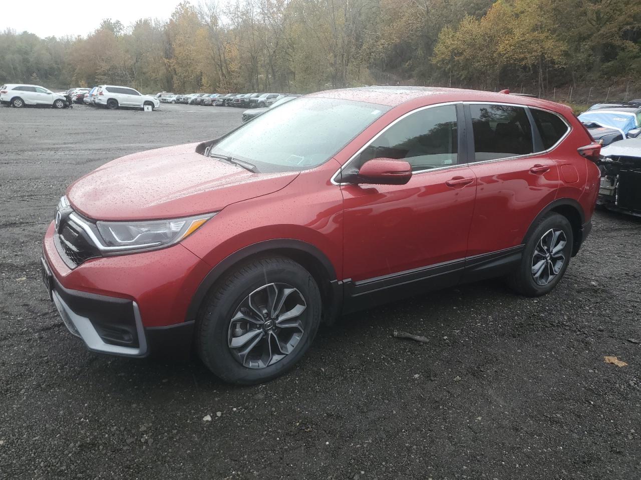 HONDA CR-V EX