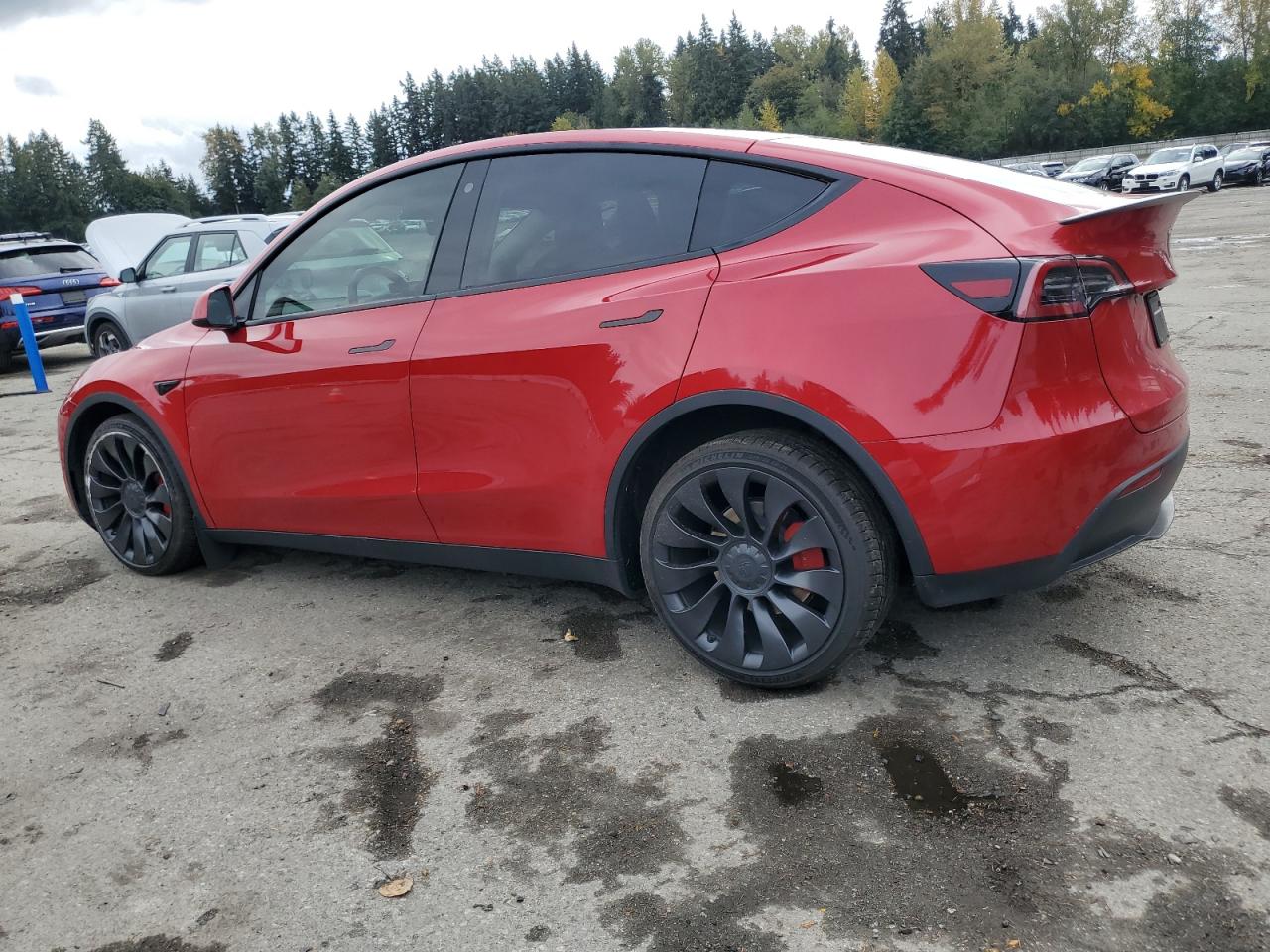 TESLA MODEL Y