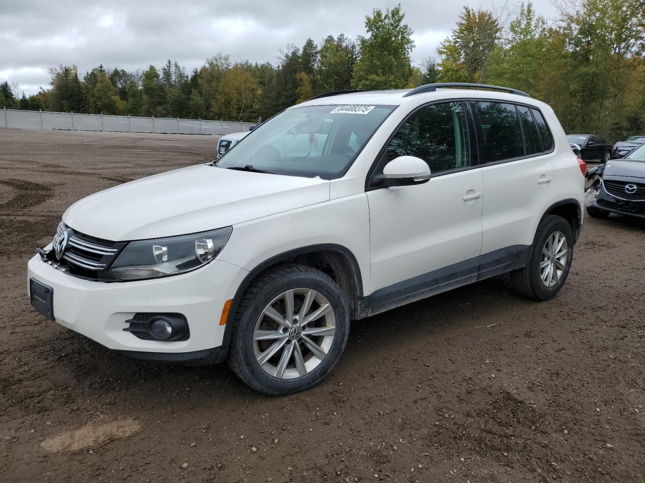 VOLKSWAGEN TIGUAN S