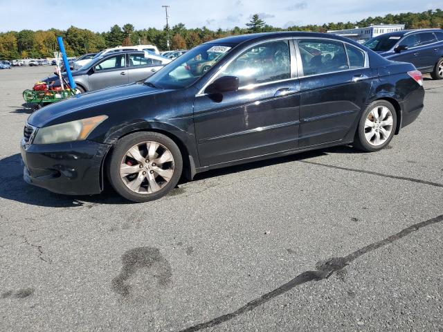 Global Auto Auctions: 2008 HONDA ACCORD EXL