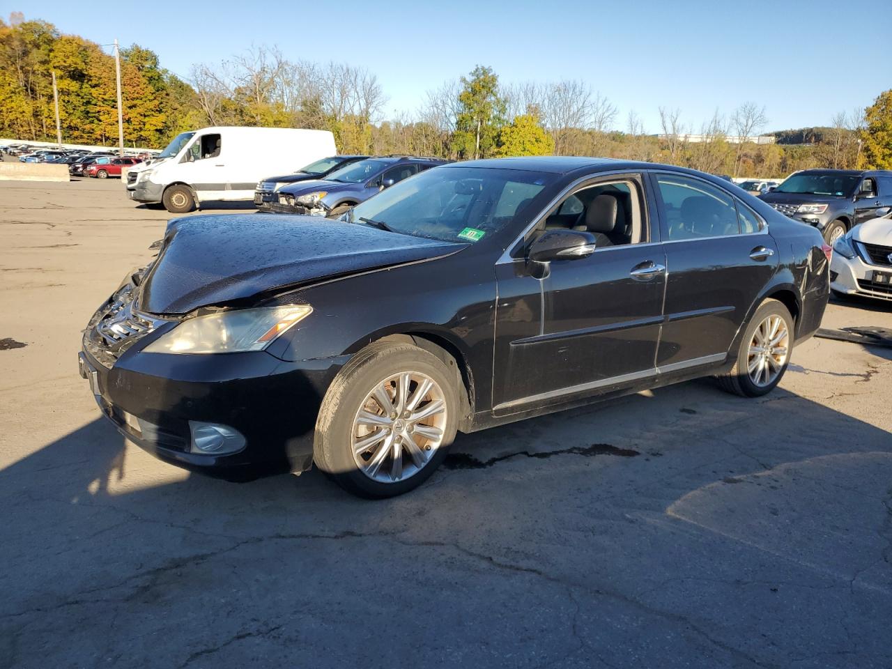 Lot #3283940796 2010 LEXUS ES 350