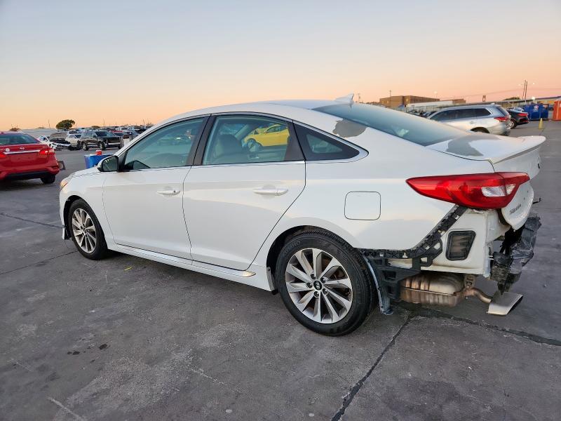 2015 HYUNDAI SONATA SPO - 5NPE34AF3FH101813