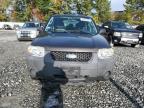 Lot #3312445623 2007 FORD ESCAPE XLS