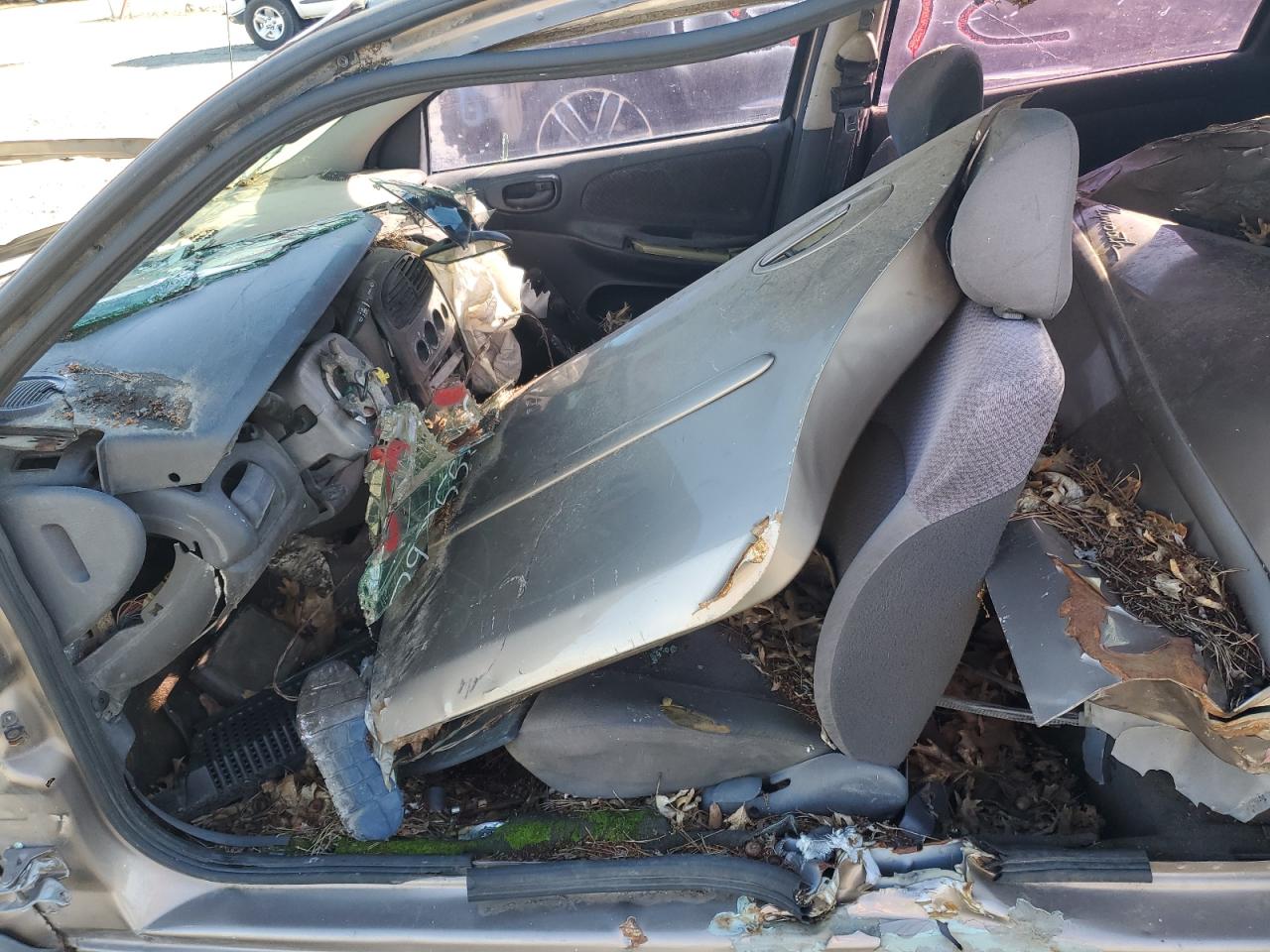 Global Auto Auctions