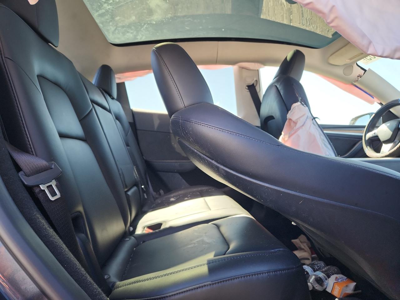 Lot #3303682934 2023 TESLA MODEL Y