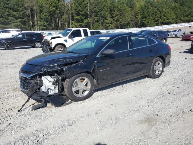 Global Auto Auctions: 2023 CHEVROLET MALIBU LS