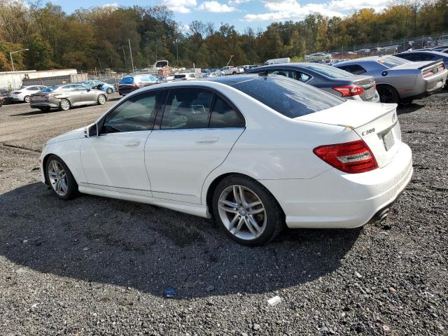 2013 MERCEDES-BENZ C 300 4MAT - WDDGF8ABXDR253118