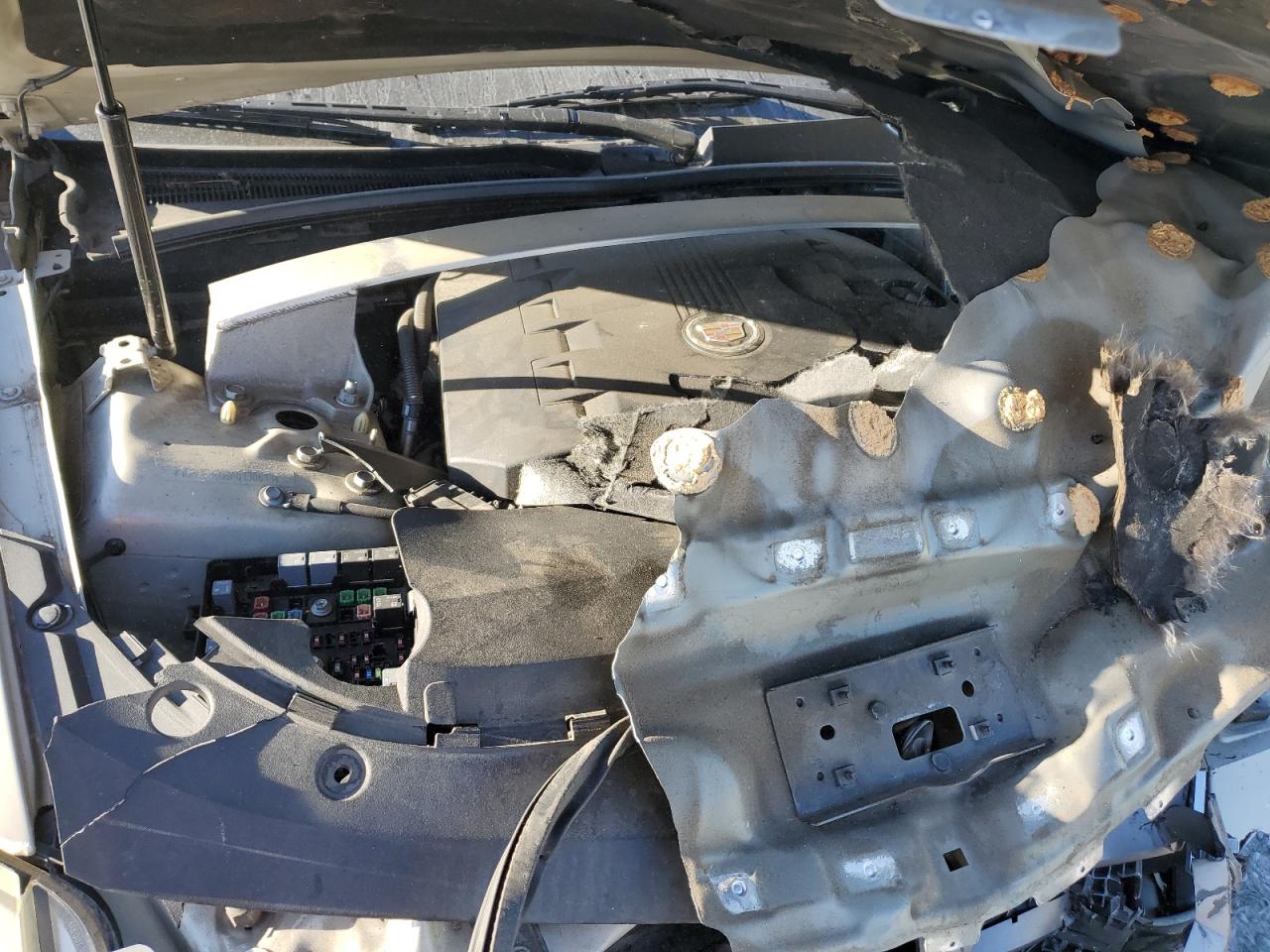 CADILLAC CTS LUXURY COLLECTION