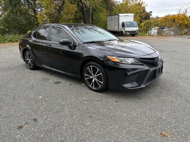 Global Auto Auctions: 2019 TOYOTA CAMRY L