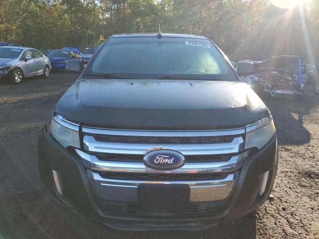 2011 FORD EDGE SEL - 2FMDK4JC1BBA48731